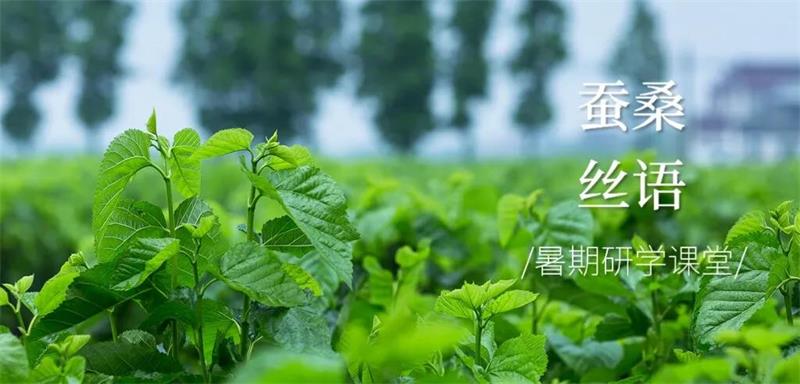 1617608510274930.jpg 太湖親子研學(xué)活動.jpg