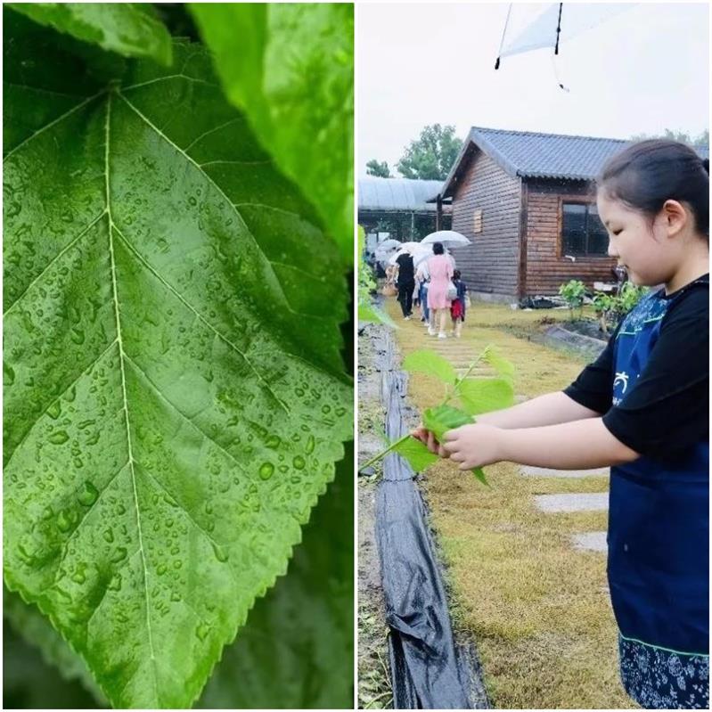 1617609140168168.jpg 太湖研學(xué)活動.jpg