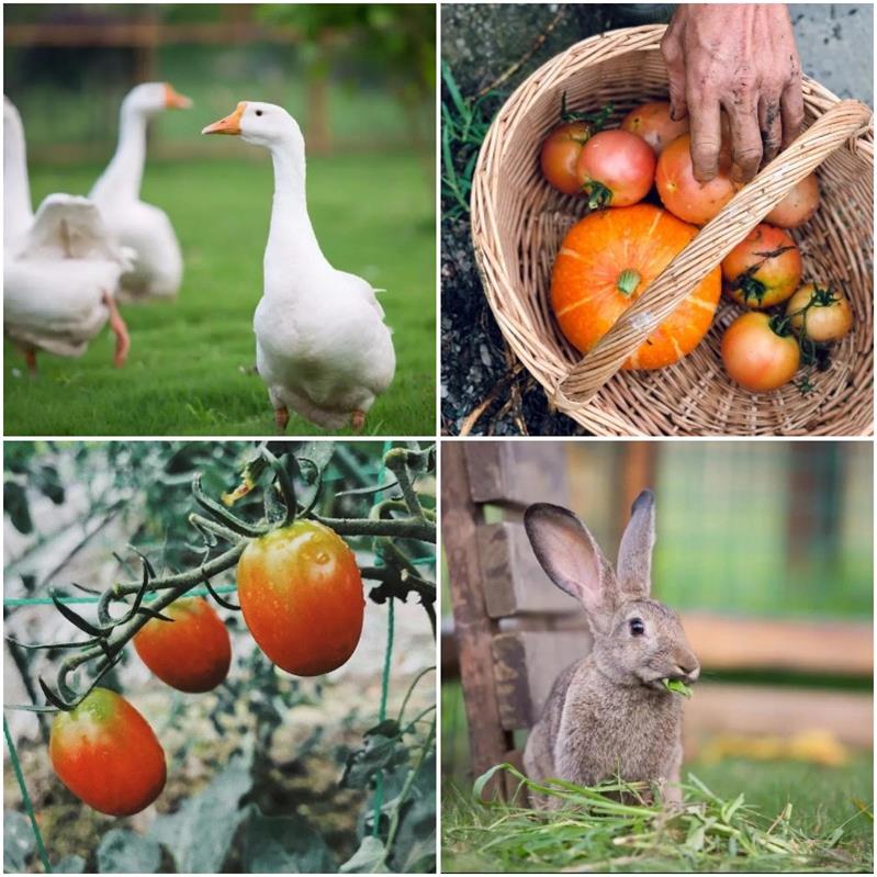 1617609315131901.jpg 太湖研學(xué)活動攻略.jpg