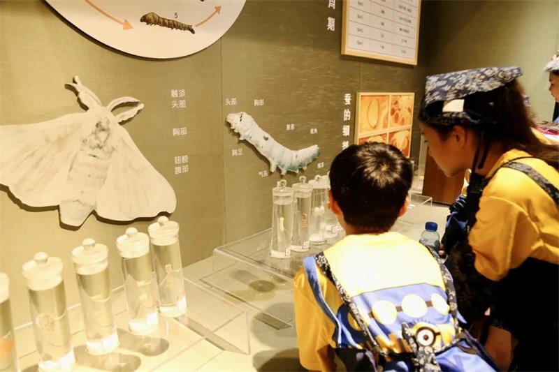 1617609445848844.jpg 太湖研學(xué)活動攻略.jpg