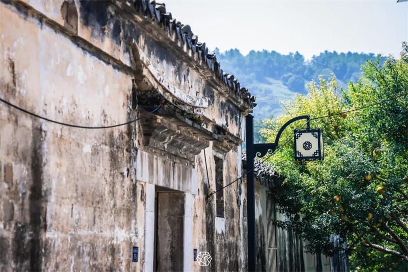 1619004374826726.jpg 微信圖片_20210421192612.jpg