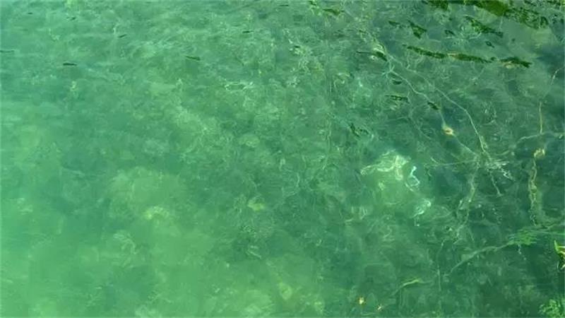 1619004933135924.jpg 太湖騎行活動.jpg