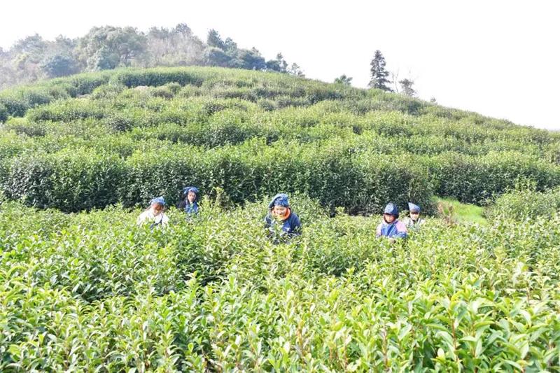 1619094749373085.jpg 太湖春季旅游.jpg