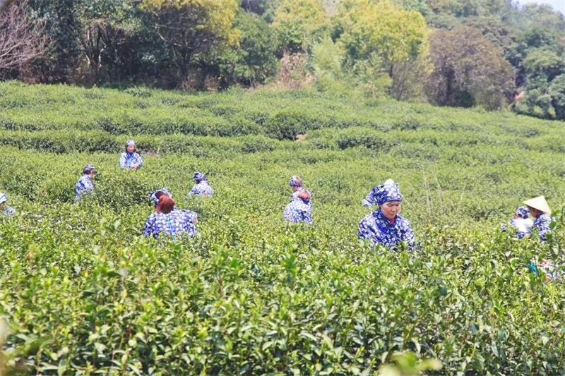 1619094808112777.jpg 太湖春季旅行策劃.jpg