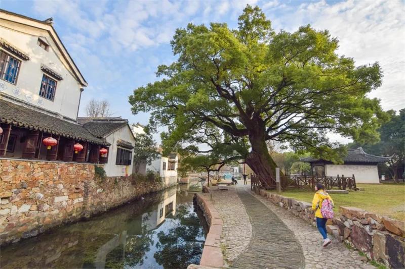 1619094974675728.jpg 明月灣古村.jpg