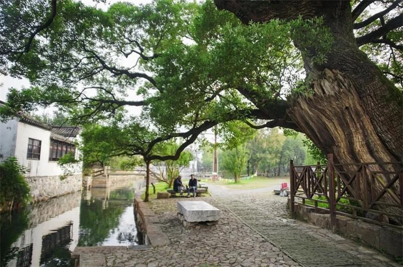 1619094984120729.jpg 明月灣景區(qū).jpg