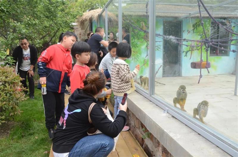 1619261704675599.jpg 開心島農莊.jpg