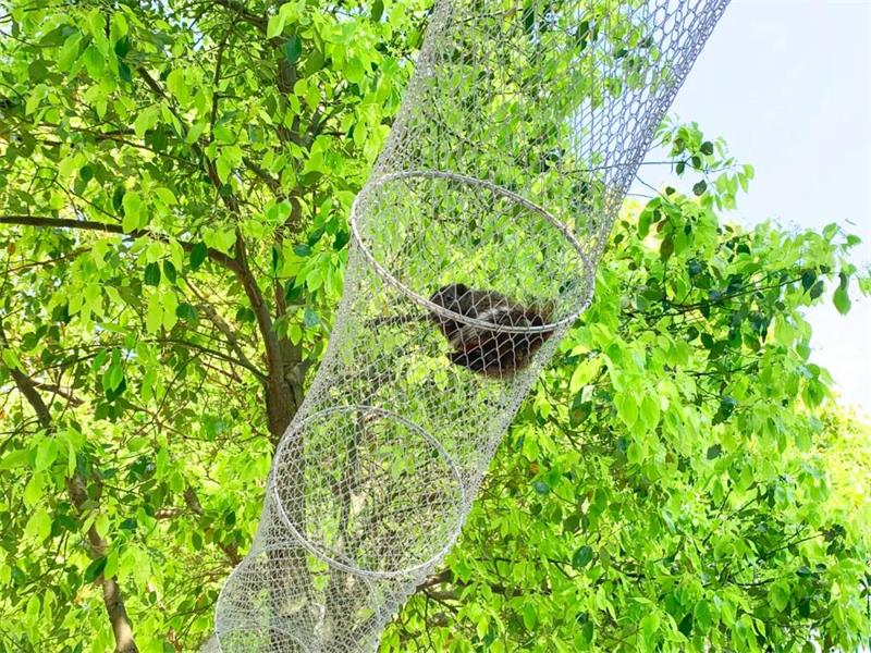 1619262247329752.jpg 五一太湖旅行攻略.jpg