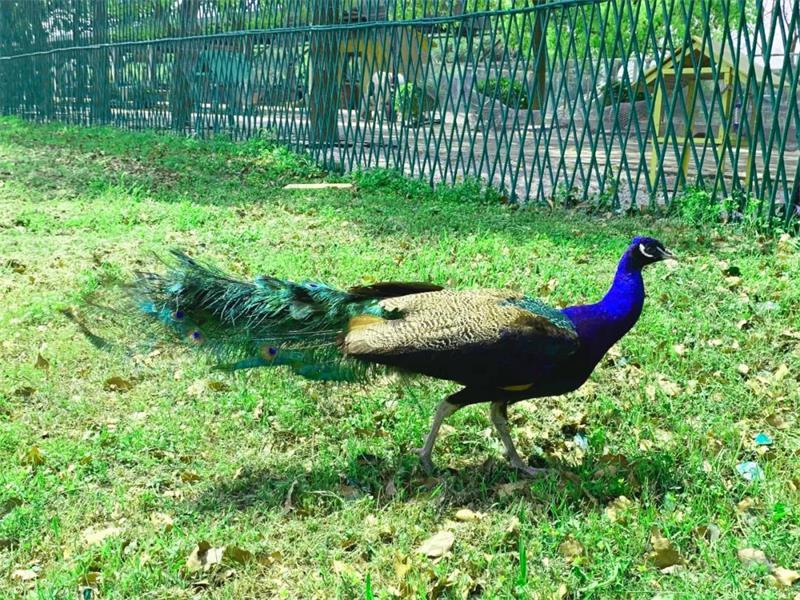 1619262338672586.jpg 太湖開心農場旅行策劃.jpg