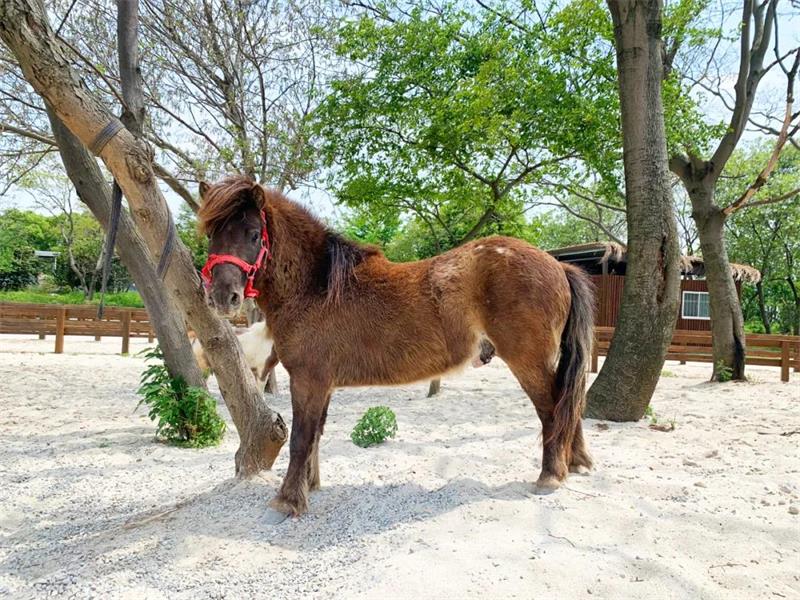 1619262588863906.jpg 太湖西山旅行攻略.jpg