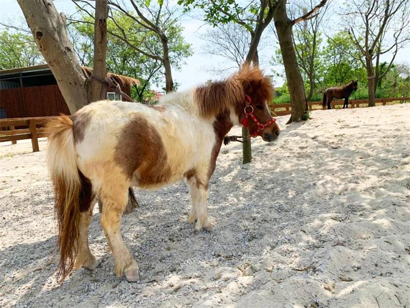 1619262693828447.jpg 太湖開心農場.jpg