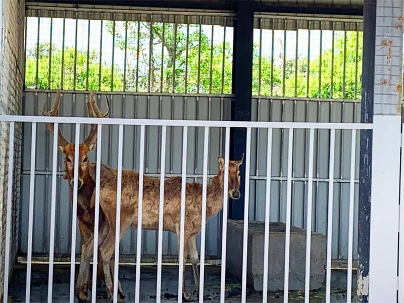 1619262778792989.jpg 太湖開心農場.jpg