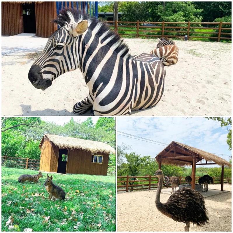 1619263240125975.jpg 太湖開心農場.jpg