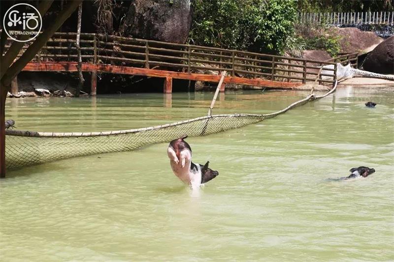 1619264769387329.jpg 微信圖片_20210424194342.jpg