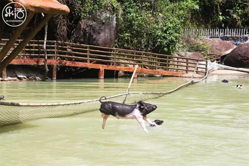 1619264807739716.jpg 微信圖片_20210424194618.jpg