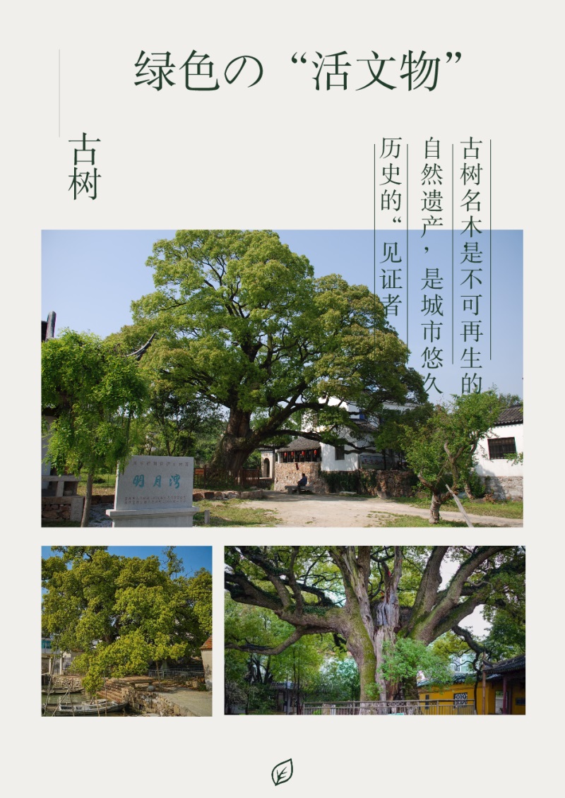 1619267931255565.jpg 太湖旅游策劃.jpg