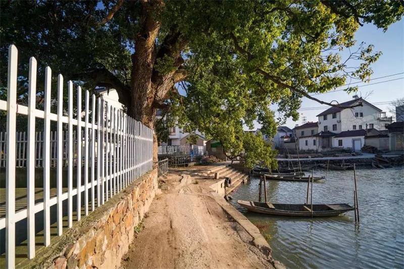 1619268272671166.jpg 太湖旅行策劃.jpg