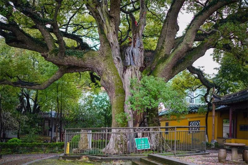 1619268343109937.jpg 太湖旅游攻略.jpg