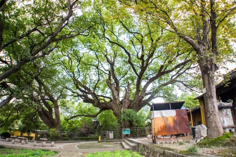 1619268429540177.jpg 太湖旅行攻略.jpg