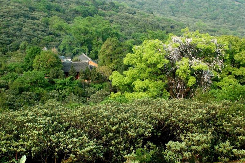 1619268503675254.jpg 太湖旅游策劃.jpg