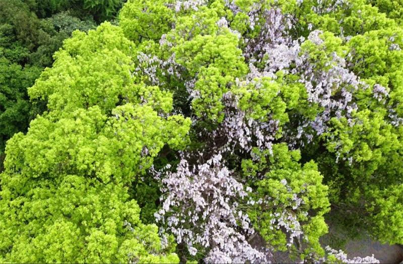 1619268919312884.jpg 太湖旅行策劃.jpg