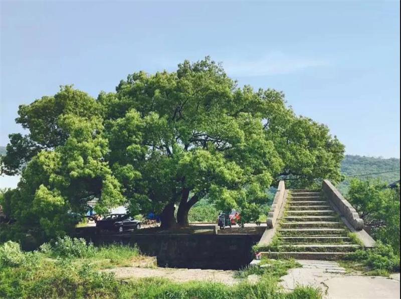 1619269046413320.jpg 微信圖片_20210424205742.jpg