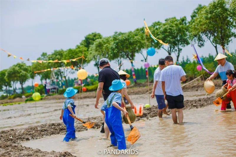 1622374722294294.jpg 太湖插秧節(jié)活動(dòng).jpg