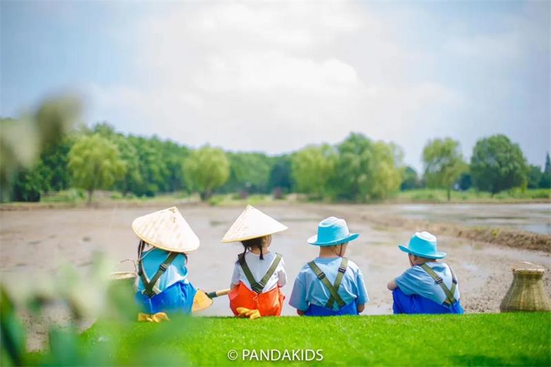 1622376243838947.jpg 太湖插秧節(jié)活動(dòng).jpg