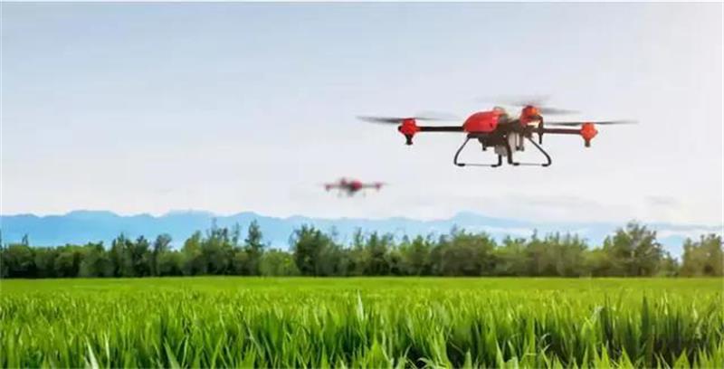 1622376772255006.jpg 太湖插秧節(jié)活動(dòng).jpg