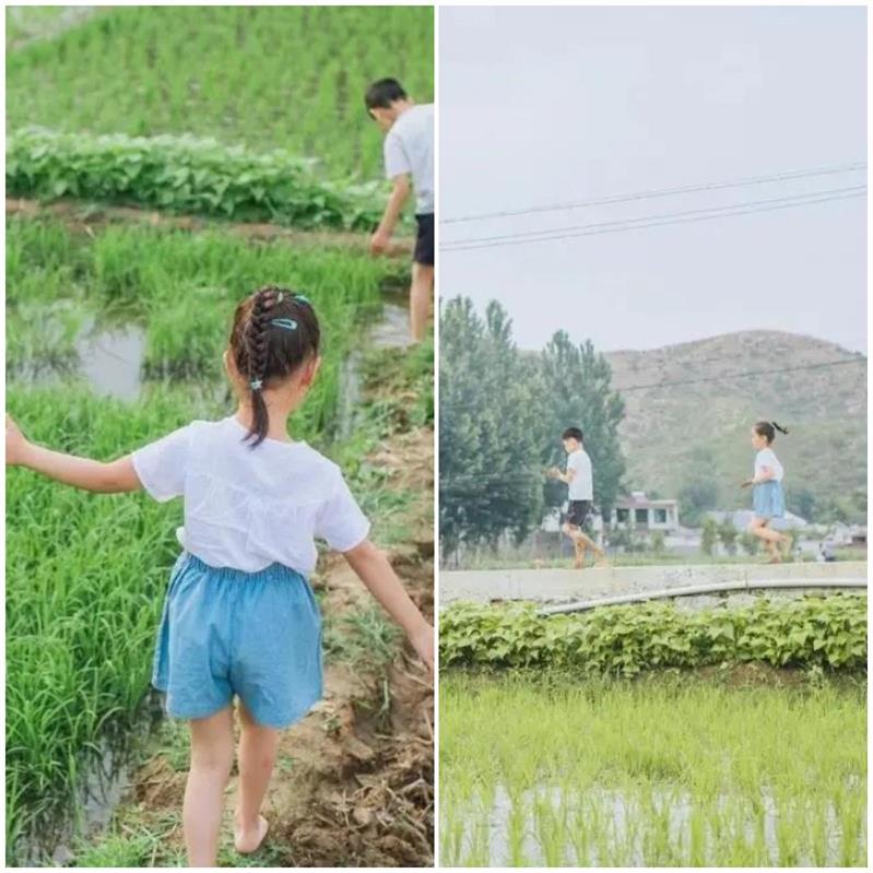 1622377064141230.jpg 太湖插秧節(jié).jpg