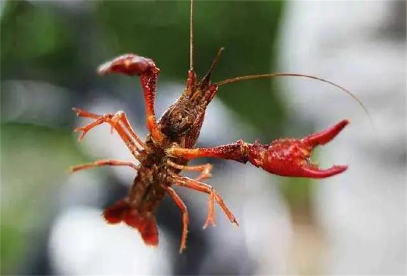 1622377616111641.jpg 太湖旅游團(tuán)建.jpg