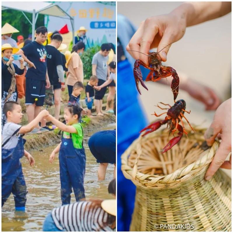 1622377800913177.jpg 太湖插秧節(jié).jpg