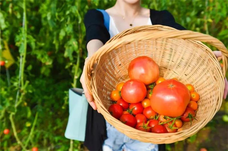 1622378439250746.jpg 微信圖片_20210530204041.jpg