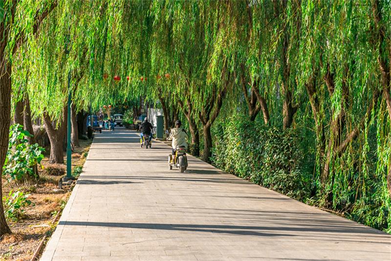 1623841063473349.jpg 太湖三山島景區(qū).jpg