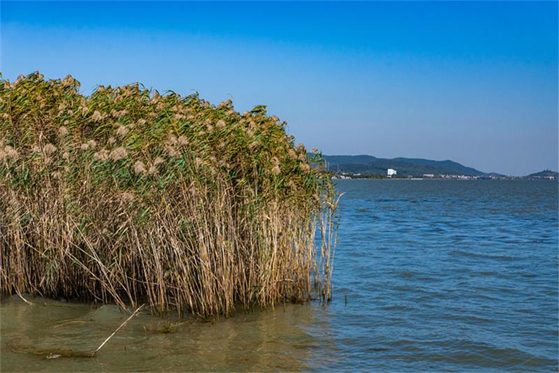 1623841178131780.jpg 太湖三山島.jpg