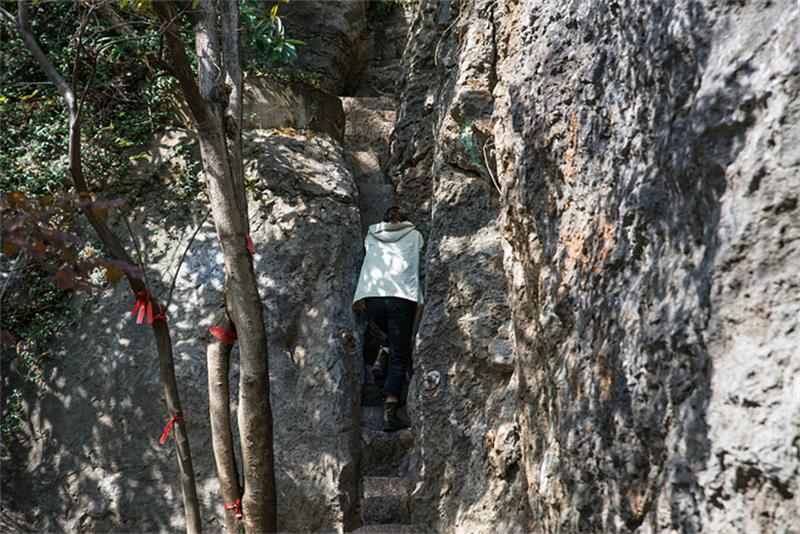 1623841528102699.jpg 太湖三山島景區(qū).jpg