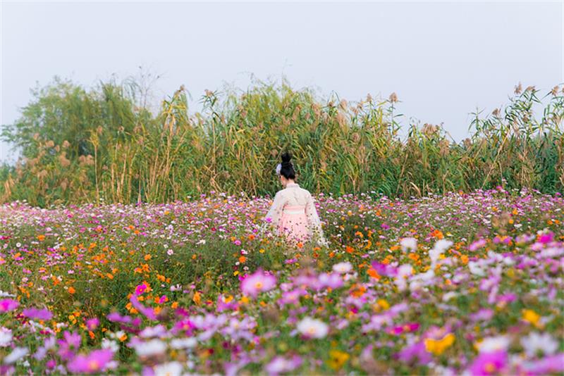 1623846094136819.jpg 太湖三山島景區(qū).jpg