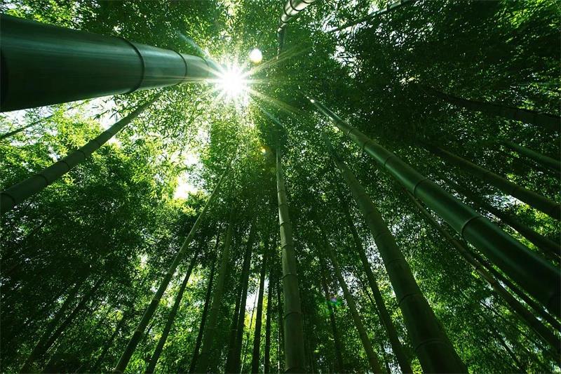 1630030427240117.jpg 江浙滬旅游團(tuán)建.jpg