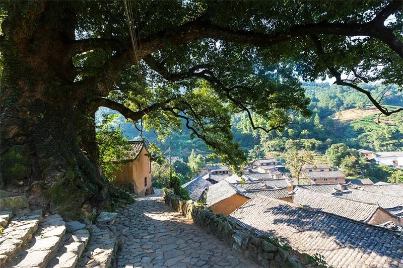 1630031987116706.jpg 江浙滬旅游團(tuán)建.jpg