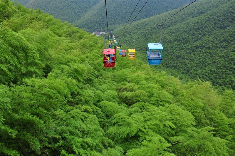 1631065143135033.jpg 天目湖南山竹海.jpg