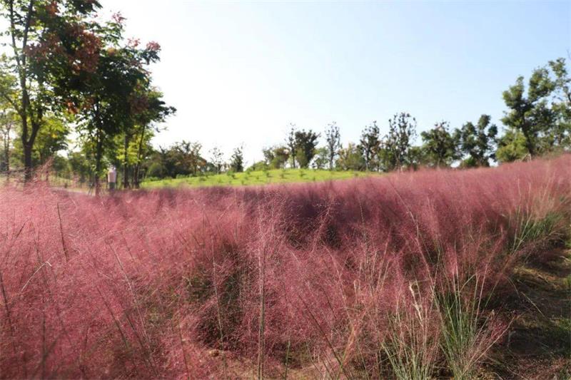 1631253344367878.jpg 太湖旅游團建.jpg