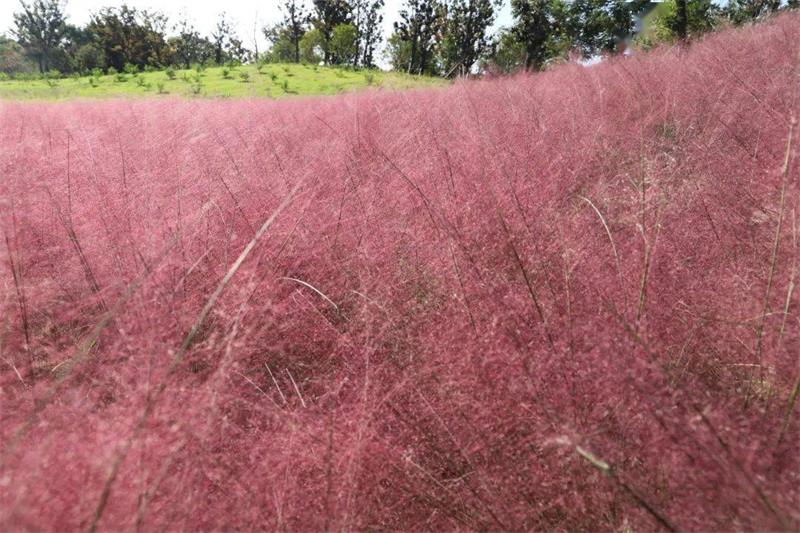 1631253428138390.jpg 太湖秋季旅游團建.jpg