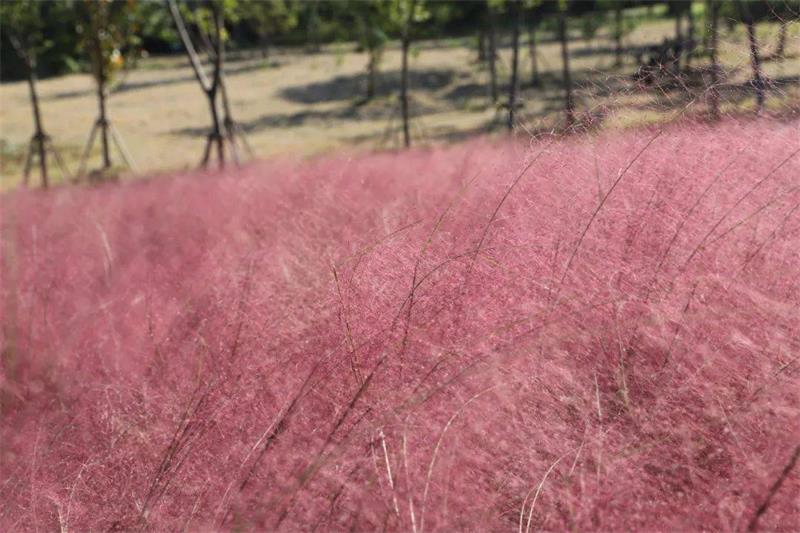 1631253504104136.jpg 秋季旅游團建.jpg