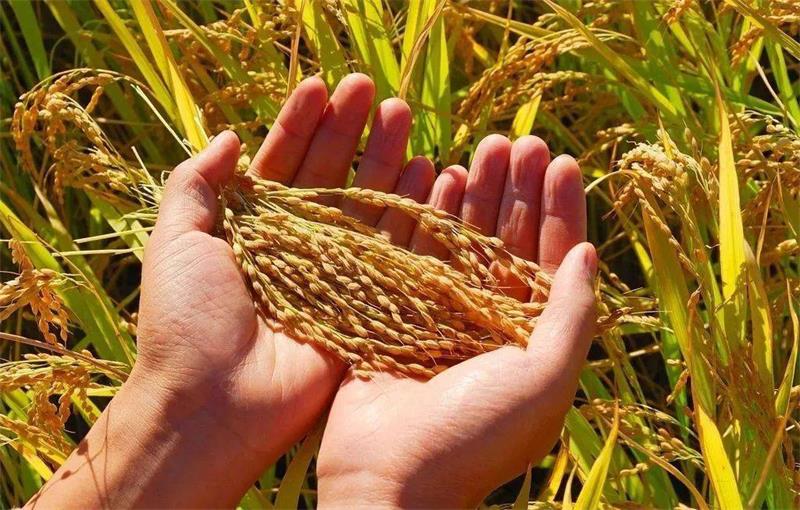 1631253891862442.jpg 4fee3545bcff4877924a56a551ecca29.jpg