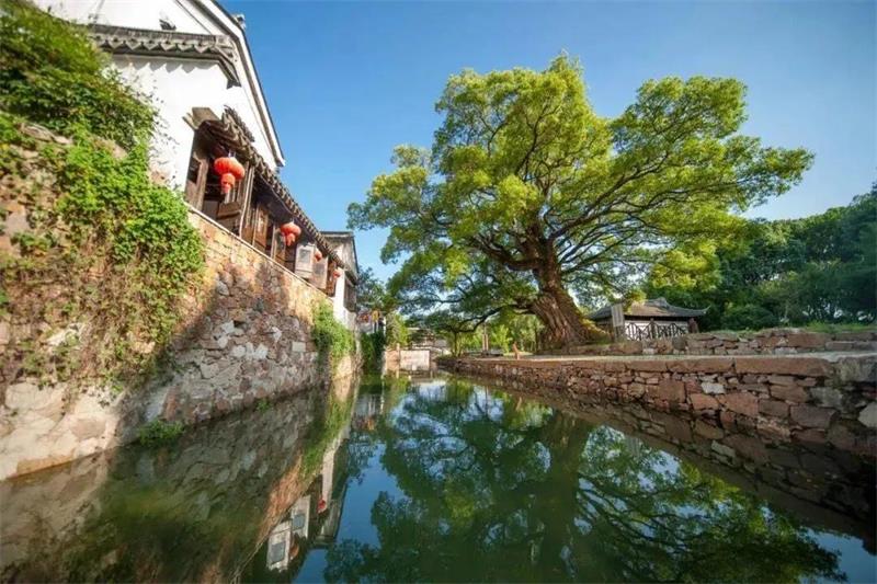 1631404973162315.jpg 明月灣古村.jpg