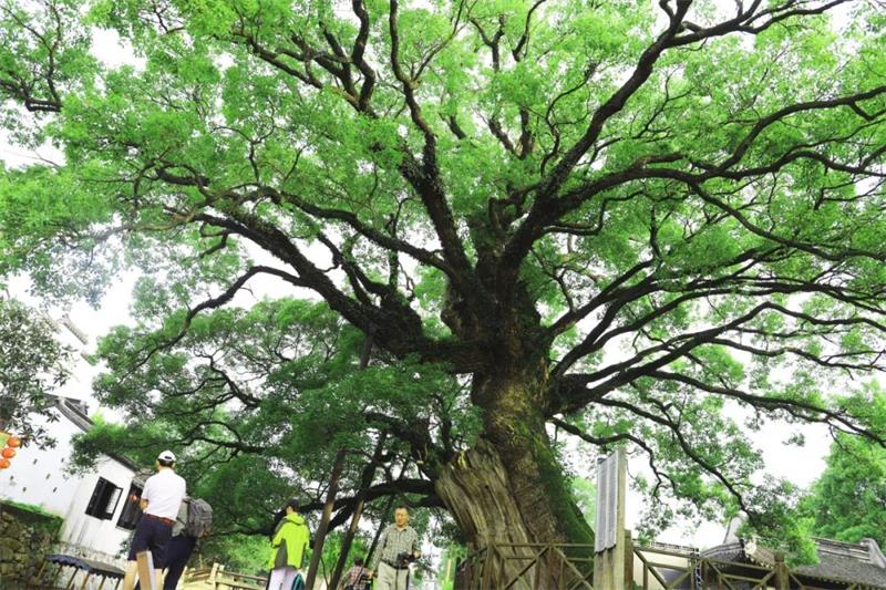 1631405502394902.jpg 秋季旅游團(tuán)建策劃.jpg