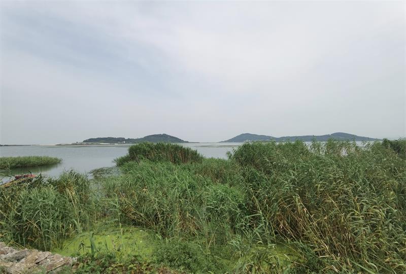 1632020788121633.jpg 太湖旅游團(tuán)建策劃.jpg