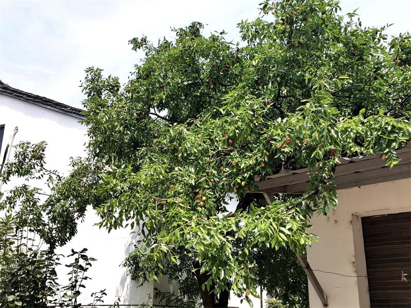 1632021023122649.jpg 太湖旅游團(tuán)建策劃.jpg