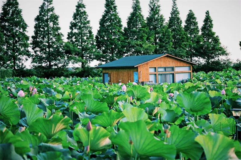 1632714538273854.jpg 西山旅游團建.jpg