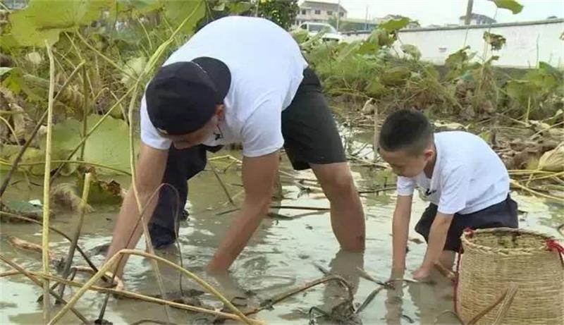 1632714663912833.jpg 太湖西山.jpg